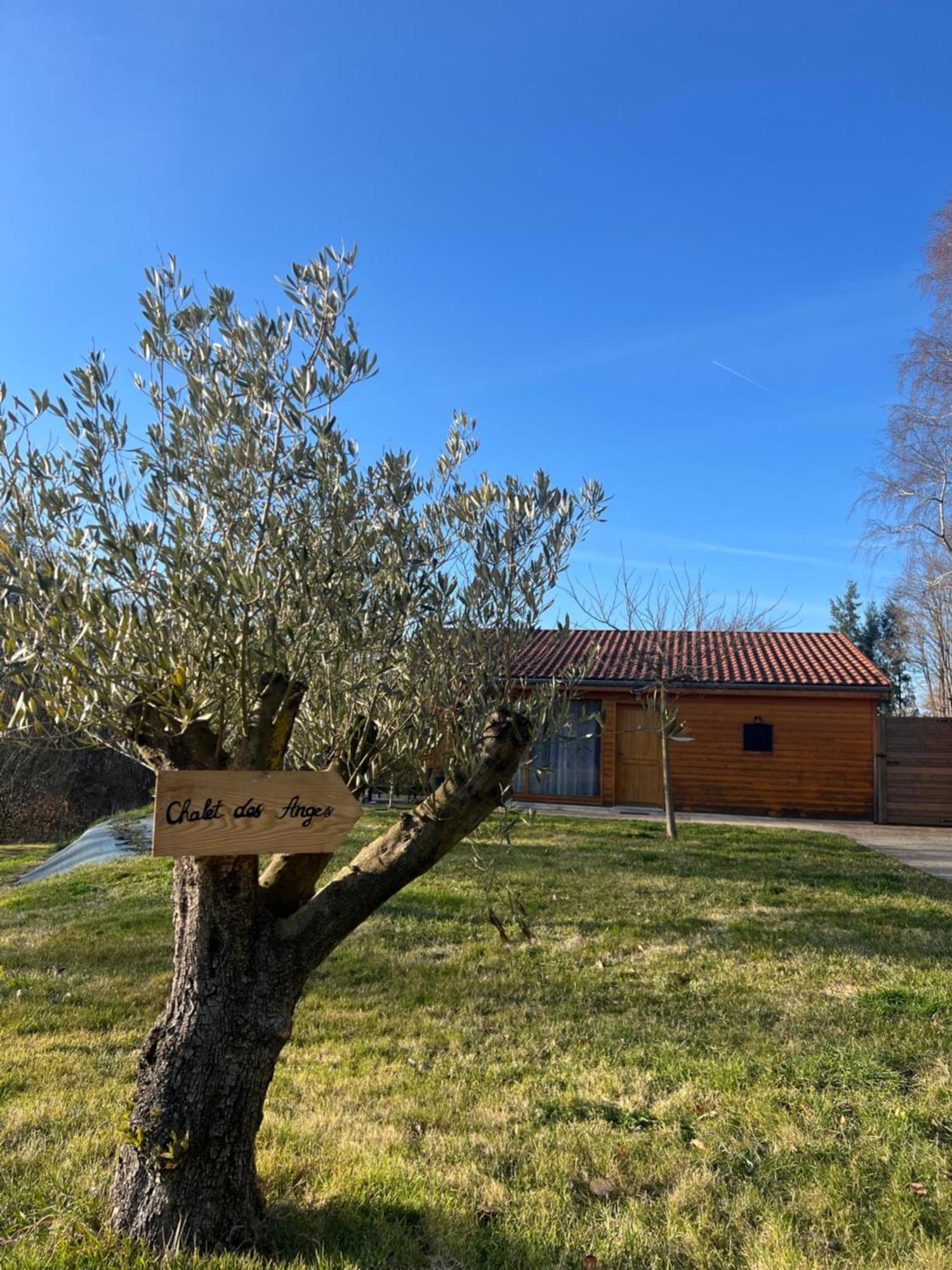 Chalet Des Anges Youx Exterior foto